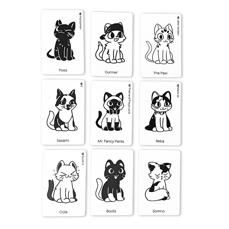 Cat Spotting Game
